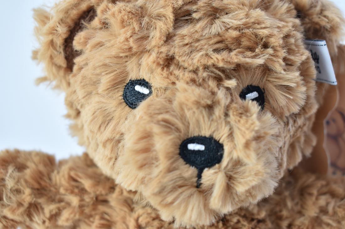 Peluche teddy island con activacion por voz  yoyoso