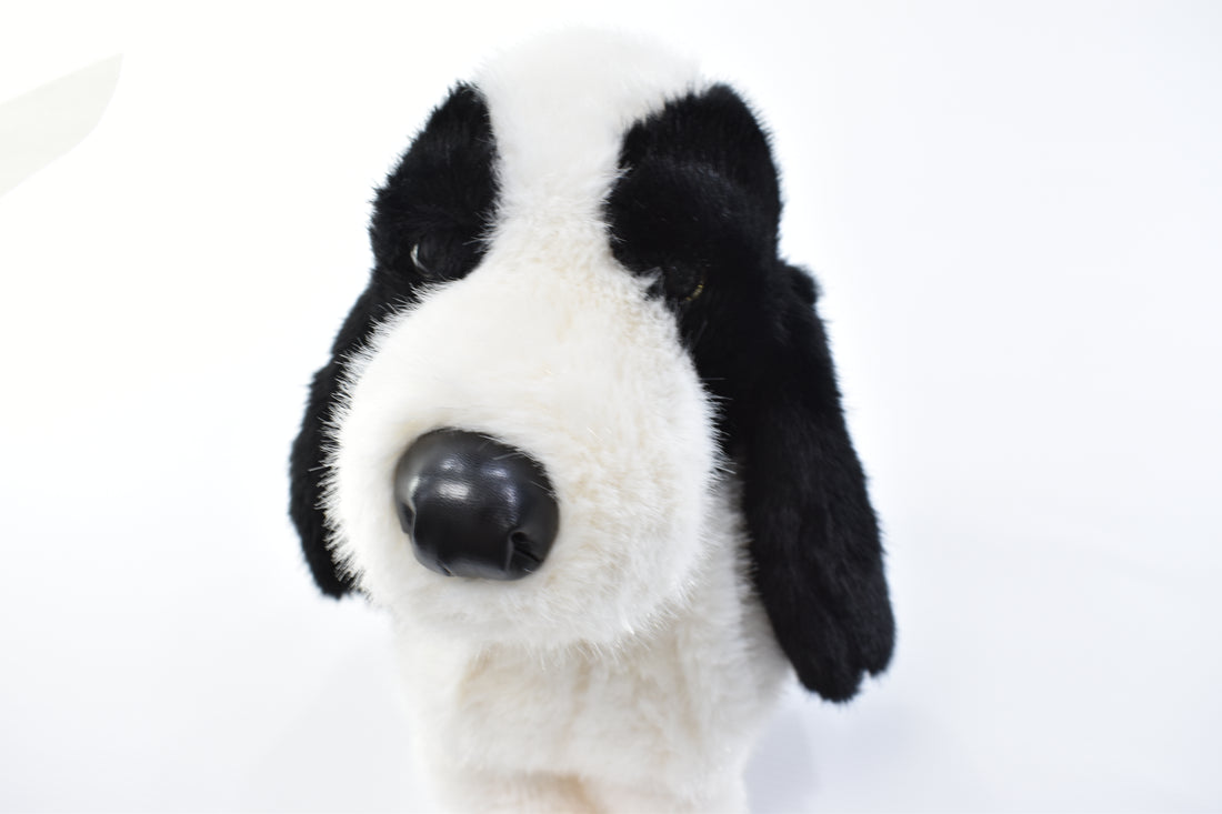 Peluche perrito orejas largas blanco y negro 23 cm  yoyoso