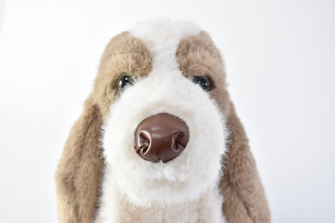Peluche Perrito Orejas Largas Marron y Blanco Yoyoso 23cm