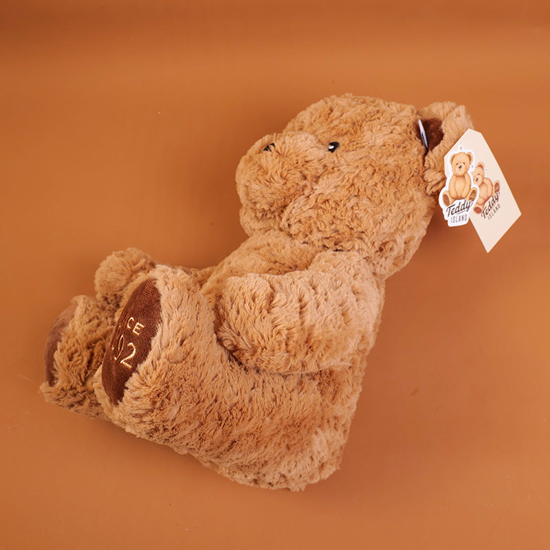 PELUCHE - TEDDY ISLAND - MARRON OSCURO SENTADO - 35CM
