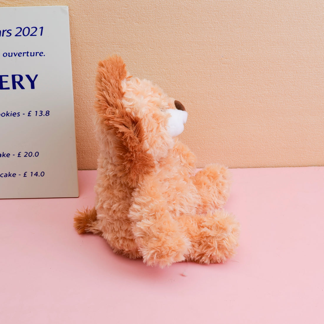 PELUCHE - LEON -25 CM